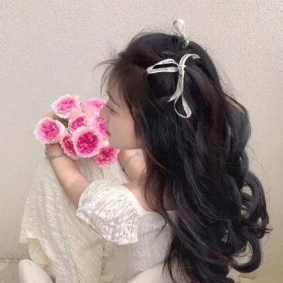 萌鼠追击大作战